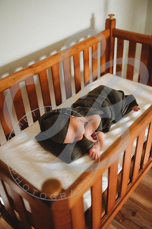 Reid - Newborn_031723_0471