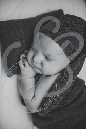 Reid - Newborn_031723_0485