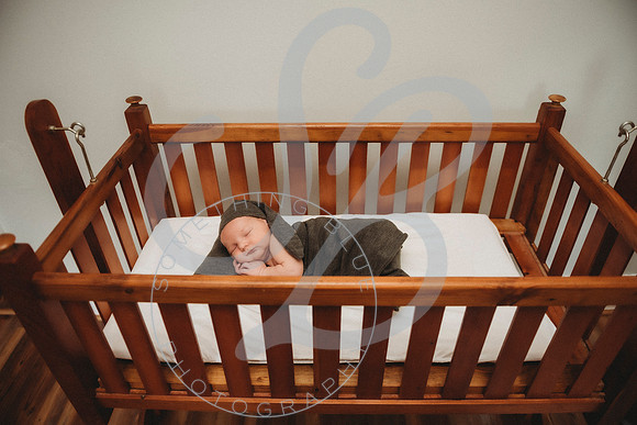 Reid - Newborn_031723_0492