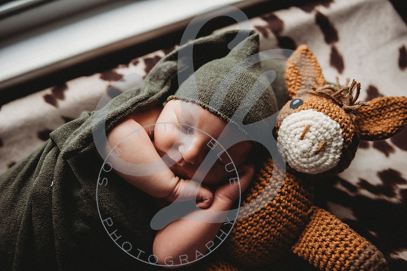Reid - Newborn_031723_0498