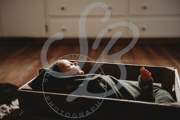 Reid - Newborn_031723_0385
