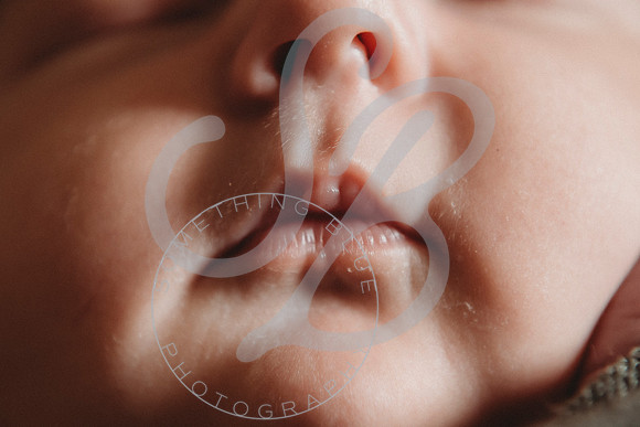 Reid - Newborn_031723_0399