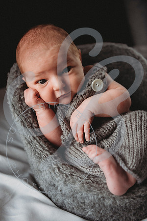 Reid - Newborn_031723_0330