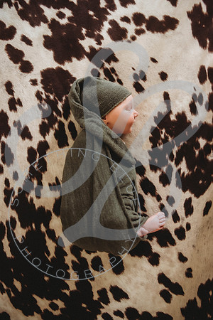 Reid - Newborn_031723_0346