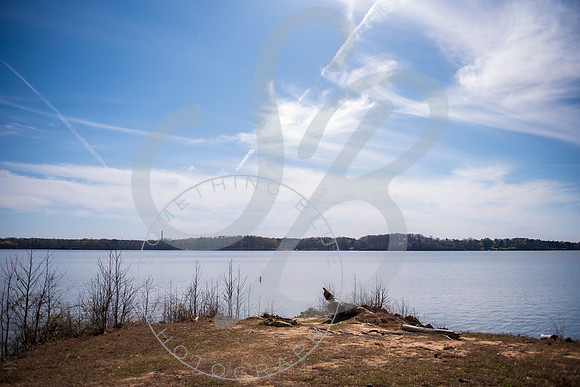 Sydney & Anthony - Wedding_032123_0001