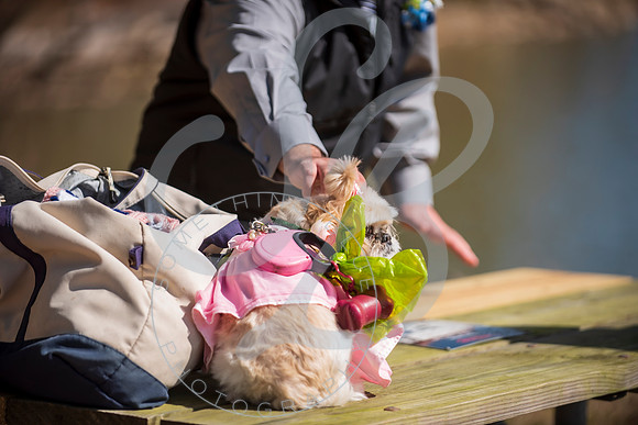 Sydney & Anthony - Wedding_032123_0029
