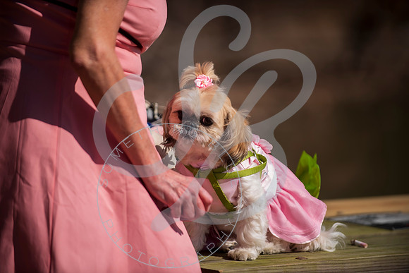 Sydney & Anthony - Wedding_032123_0043