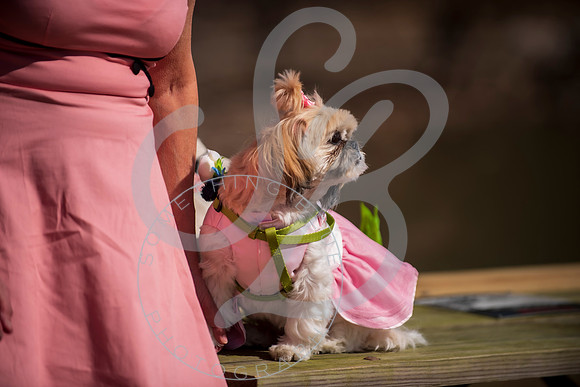 Sydney & Anthony - Wedding_032123_0041