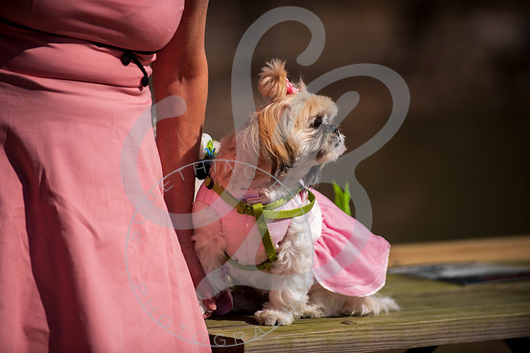 Sydney & Anthony - Wedding_032123_0042