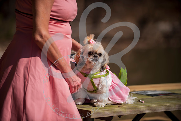 Sydney & Anthony - Wedding_032123_0044