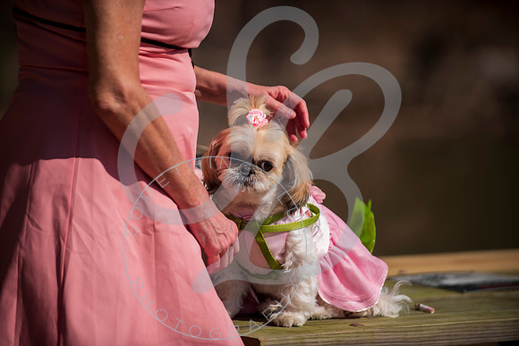 Sydney & Anthony - Wedding_032123_0045