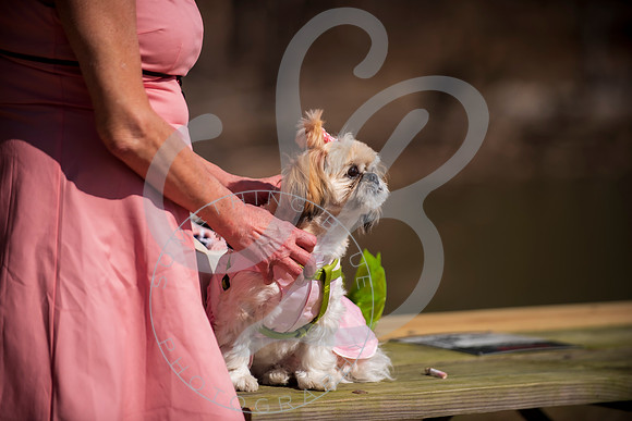 Sydney & Anthony - Wedding_032123_0050