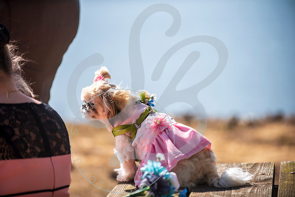 Sydney & Anthony - Wedding_032123_0219