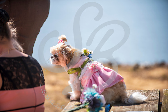 Sydney & Anthony - Wedding_032123_0220