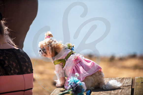 Sydney & Anthony - Wedding_032123_0221
