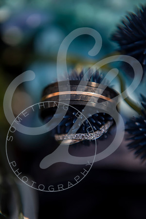 Sydney & Anthony - Wedding_032123_0738