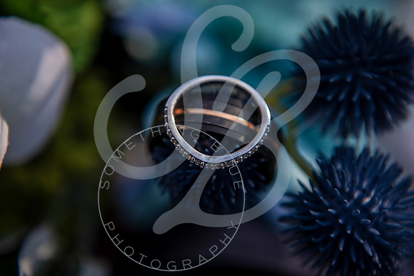 Sydney & Anthony - Wedding_032123_0743