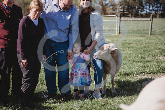Easter Lamb Minis_040223_0256