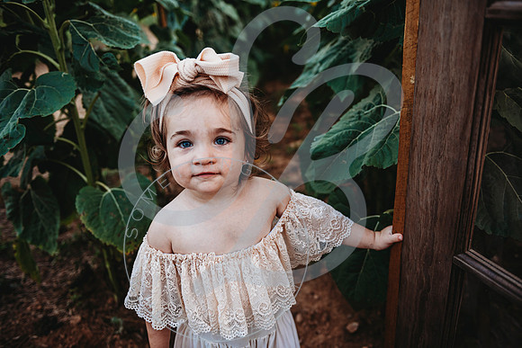 Sunflower Minis - Katelin_071222_0059