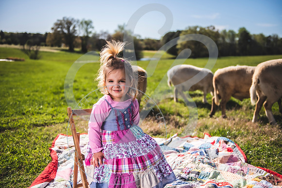Easter Lamb Minis_040223_0162