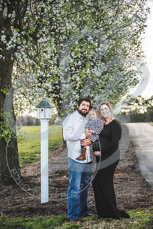 Cameron - Maternity #2_031722_0019