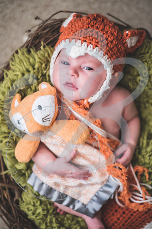 Parker - Newborn_030222_0414