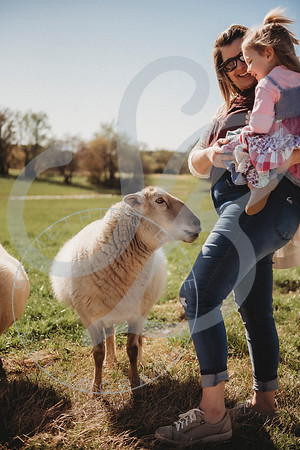Easter Lamb Minis_040223_0121