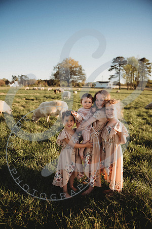 Easter Lamb Minis_040223_0870