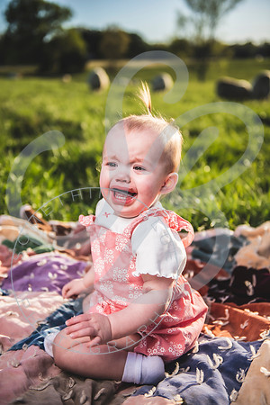Easter Lamb Minis_040223_0822