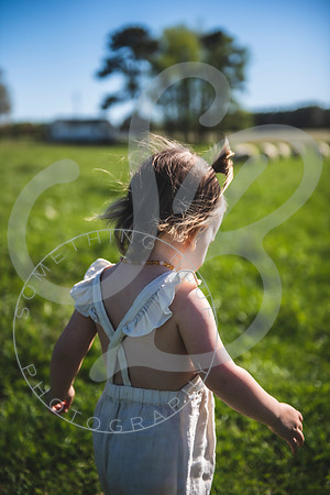 Easter Lamb Minis_040223_0076