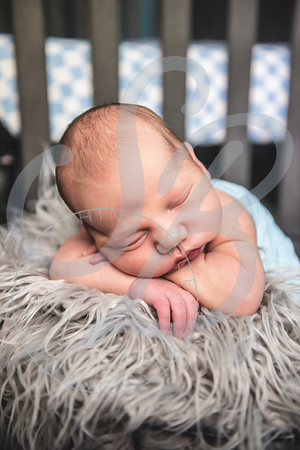 Theo - NB_061223_0305
