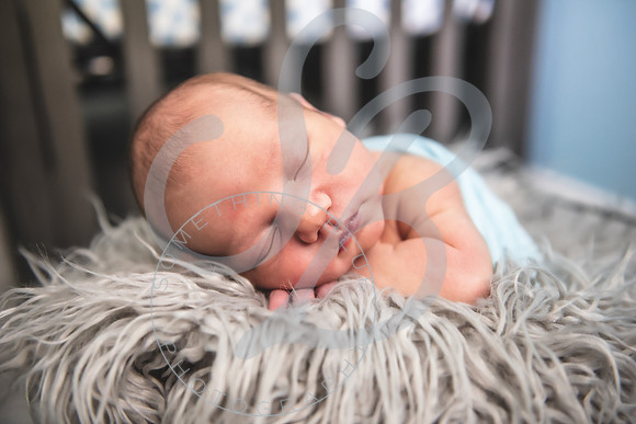 Theo - NB_061223_0288