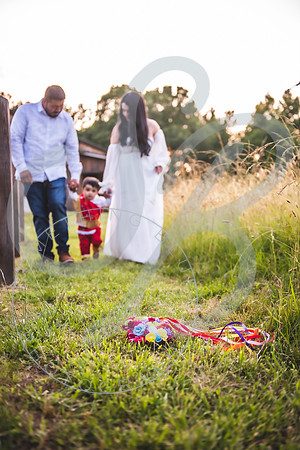 Noheme - 1 YearFamily_060523_0066