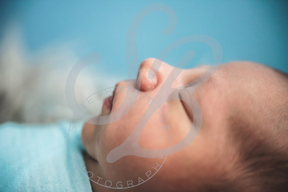 Theo - NB_061223_0254