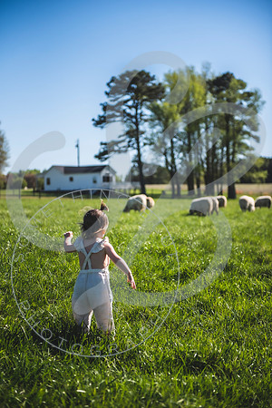Easter Lamb Minis_040223_0081