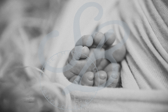 Theo - NB_061223_0244