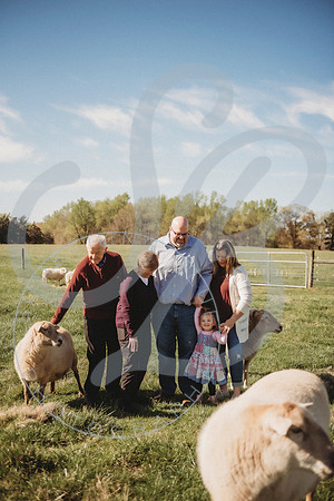 Easter Lamb Minis_040223_0239
