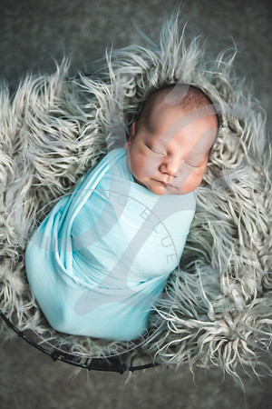Theo - NB_061223_0201