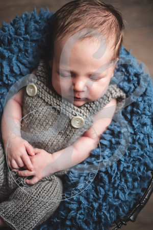 Maverick - Newborn_012122_0024