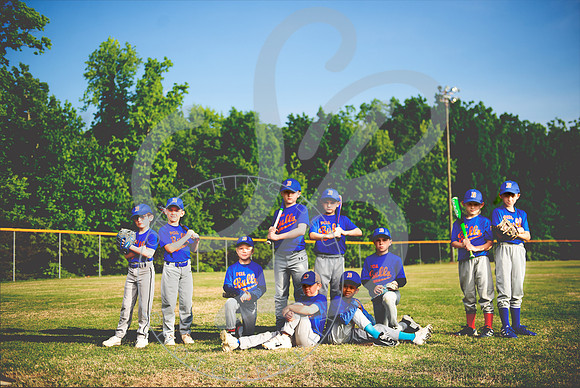 Bulls_Composite