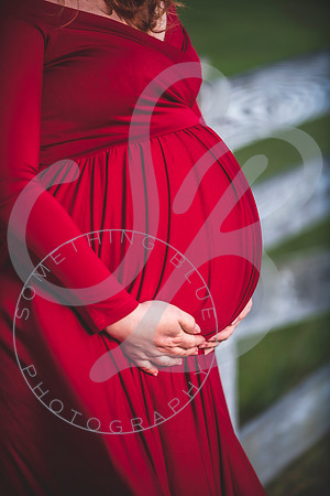 Meaghan - Maternity_032622_0464