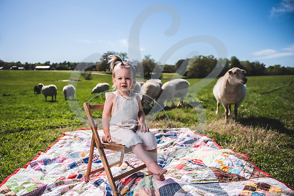 Easter Lamb Minis_040223_0038