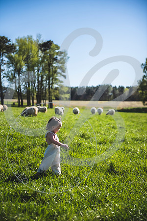 Easter Lamb Minis_040223_0092