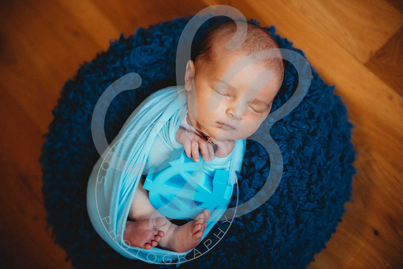 Parker - NB_050223_0353