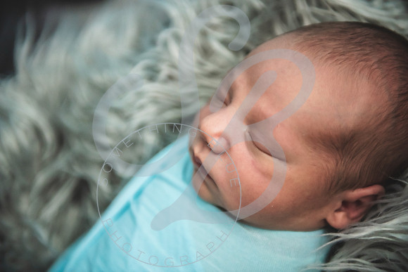 Theo - NB_061223_0222