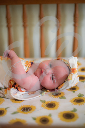 Lyla - Newborn_071325_0117
