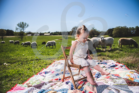 Easter Lamb Minis_040223_0052