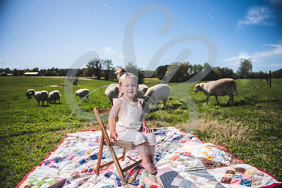 Easter Lamb Minis_040223_0042