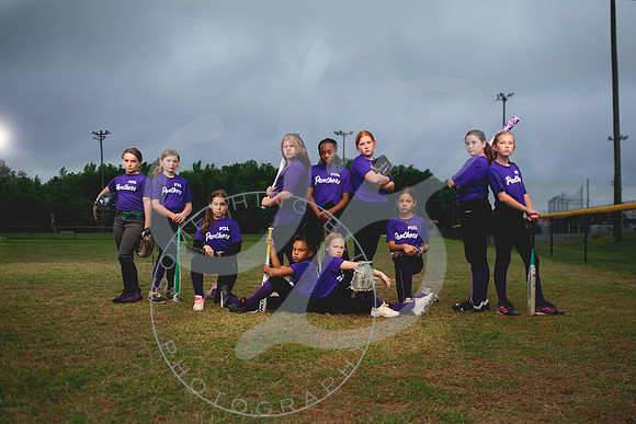Panthers_Composite