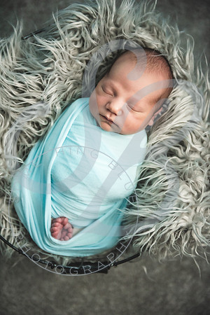 Theo - NB_061223_0217